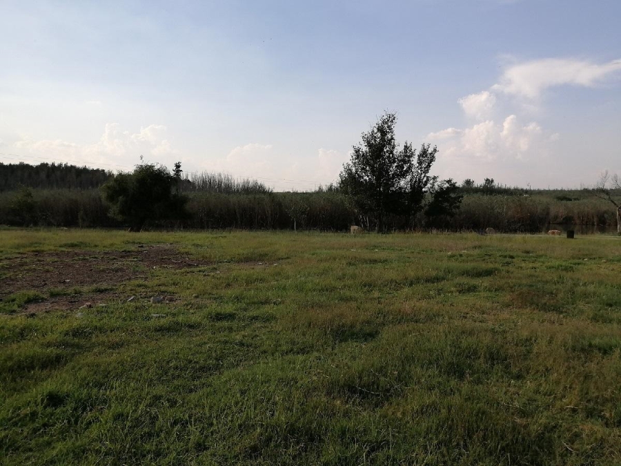 4 Bedroom Property for Sale in Uitvlught Free State